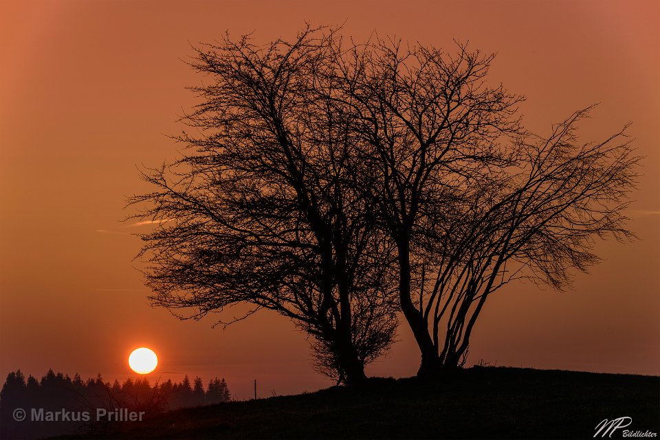 2014.03.07 185945 Sonnenuntergang Sachsenried 3000